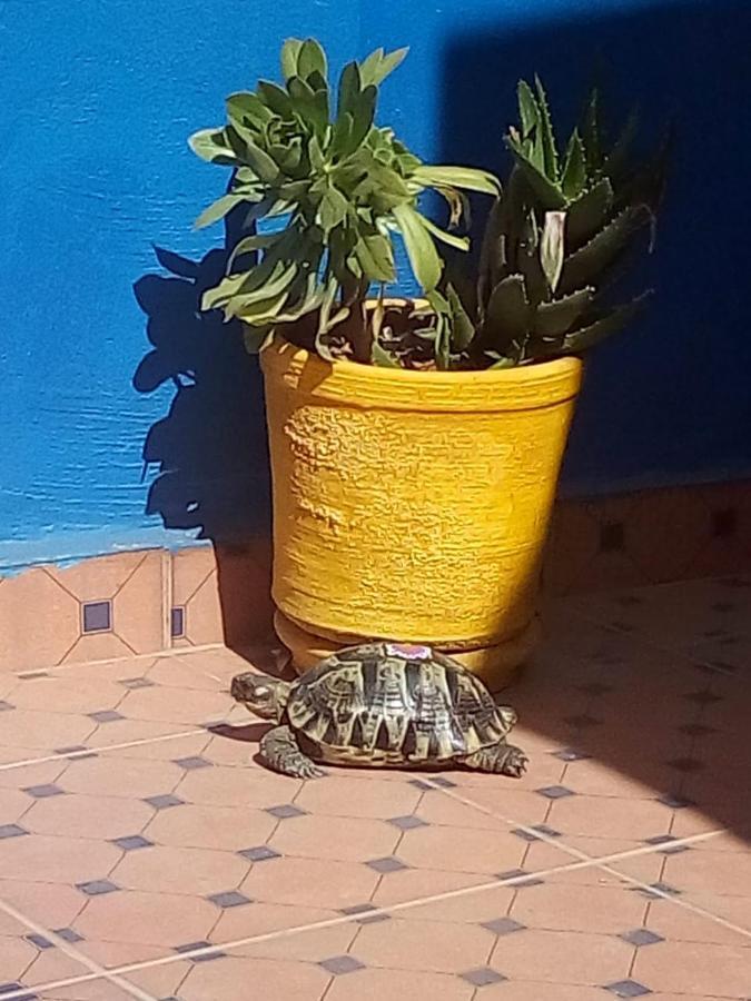 Riad Zinnha Marrakesh Exterior photo